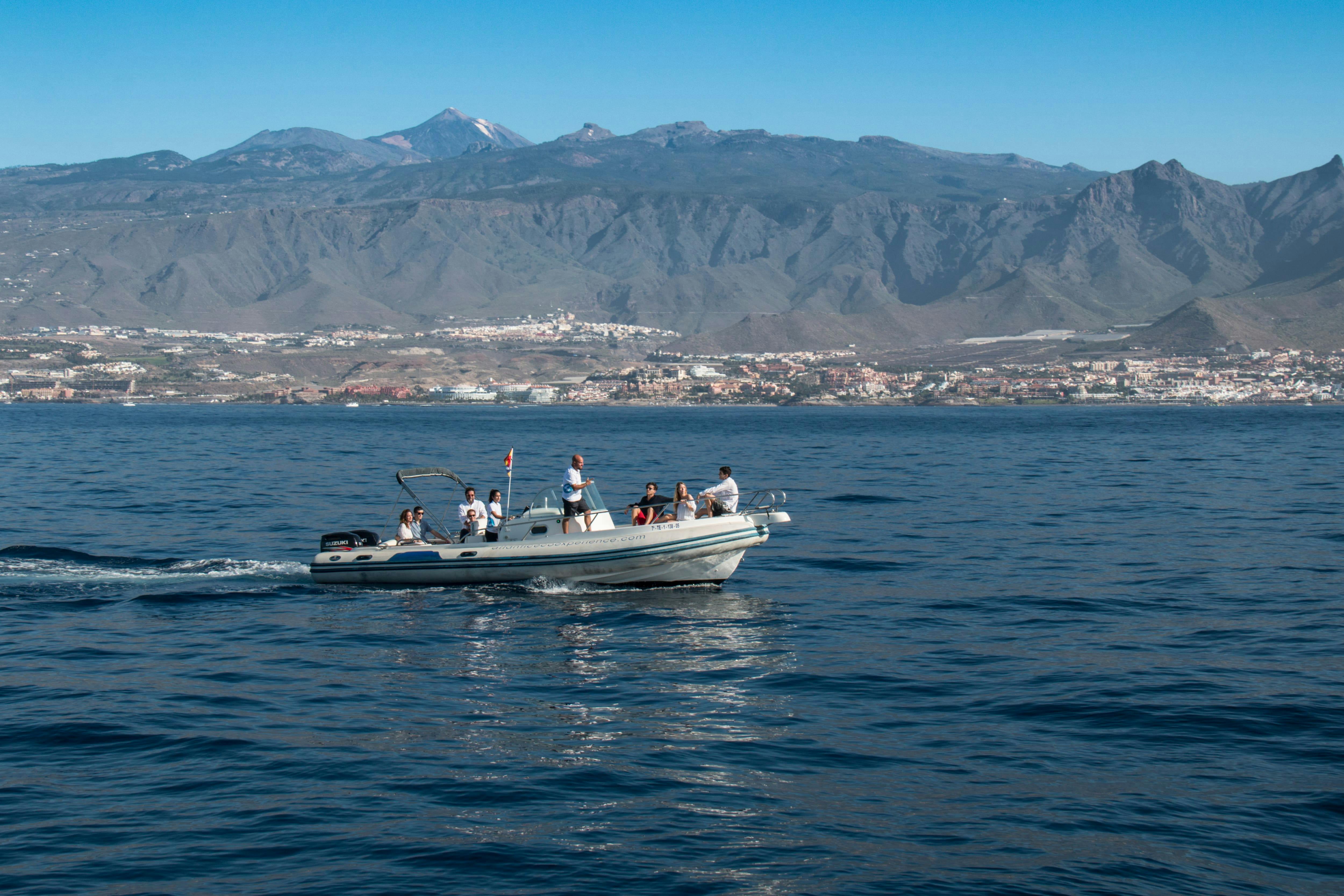 Eco-cruise dolfijnen kijken op Tenerife