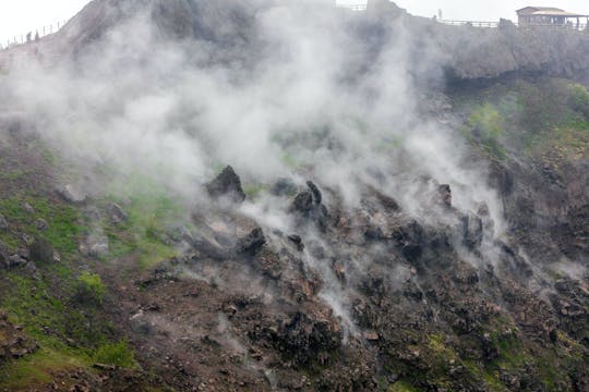 Pompei e Vesuvio seleziona tour