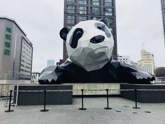 Privétour van een hele dag Alles is Panda-ervaring!