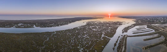 Ria Formosa speed boat tour from Faro