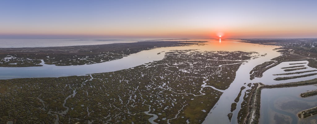 Ria Formosa speed boat tour from Faro