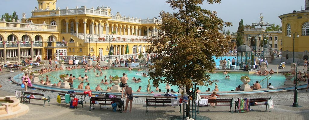 Tour privato della città di Budapest e biglietto salta fila per le terme Széchenyi