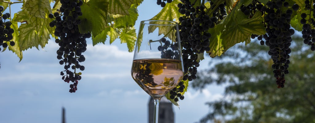 Tour privato del vino Etyek e cena con crociera serale sul Danubio