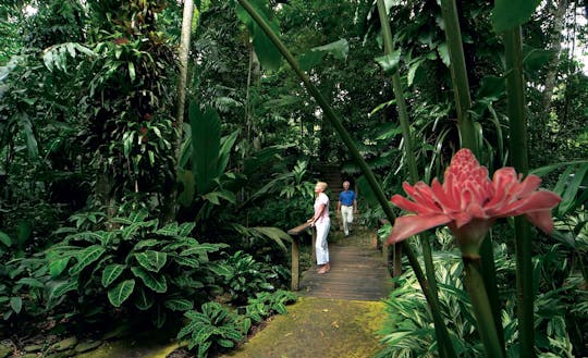 Cairns bezienswaardigheden en omgeving