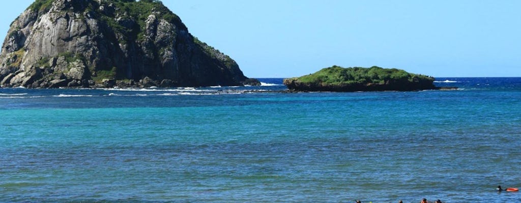 Excursión de un día completo al descubrimiento de la isla todoterreno en 4x4