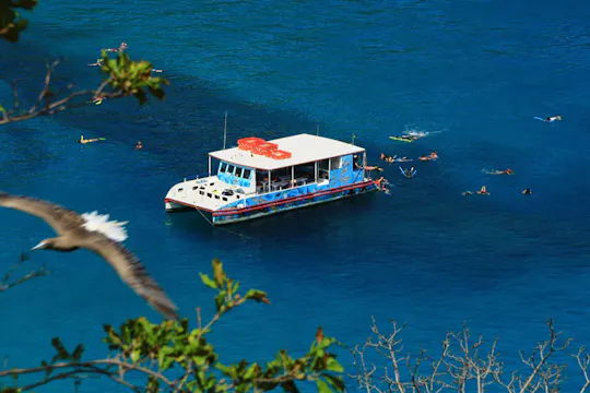 Cruzeiro fernando de noronha
