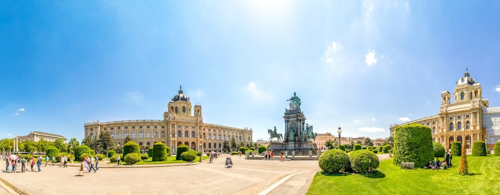 Viagem privada de um dia a Viena com almoço