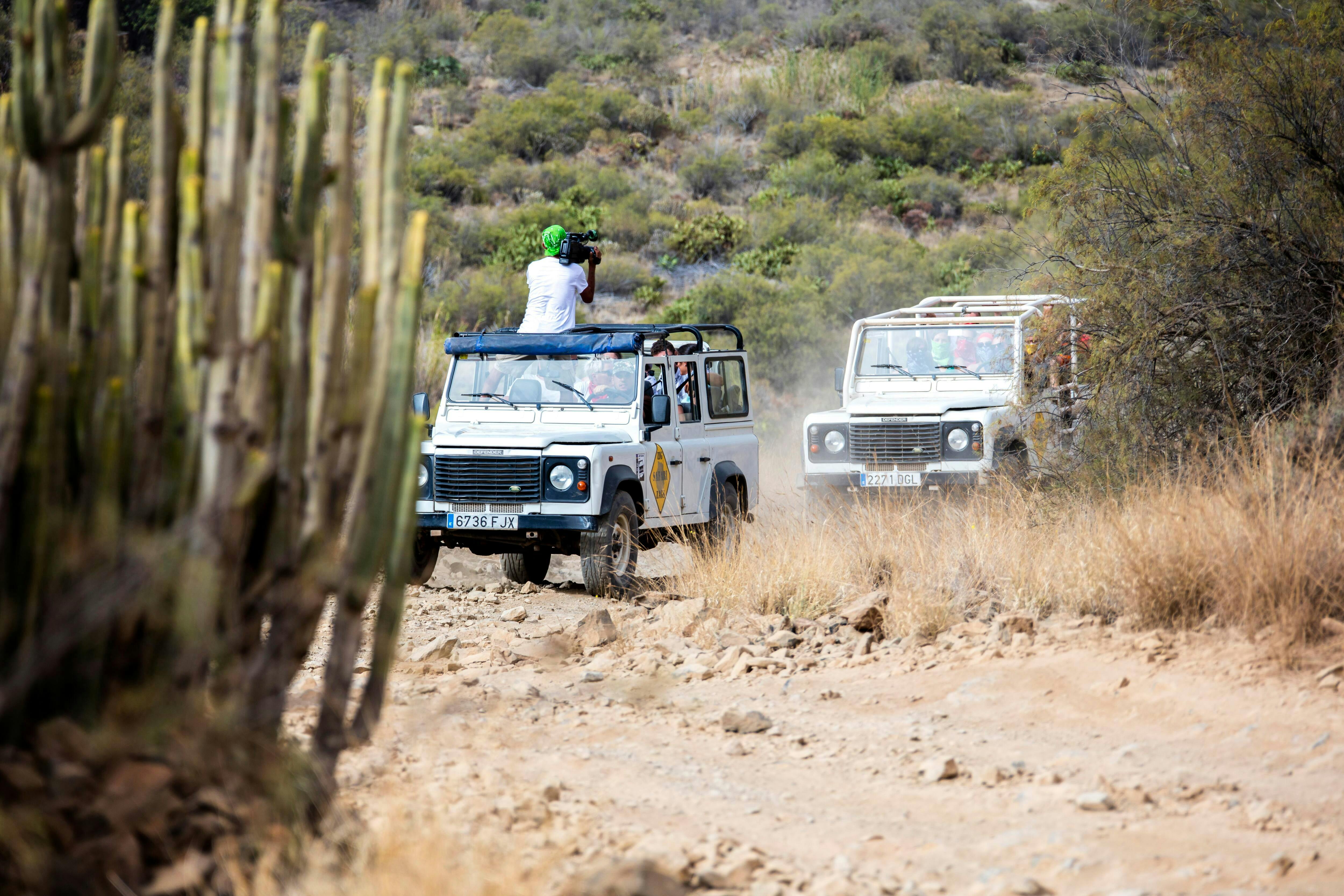 Excursion en 4x4 à Gran Canaria avec villages et une plantation d'aloe vera