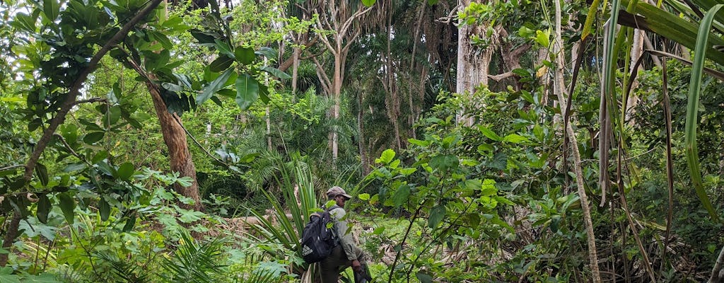 Zanzibar hiking in Jozani Forest private tour