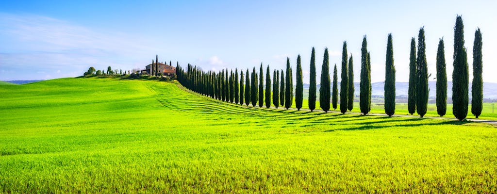 Excursion privée d'une journée à Montalcino, Pienza et Montepulciano au départ de Florence