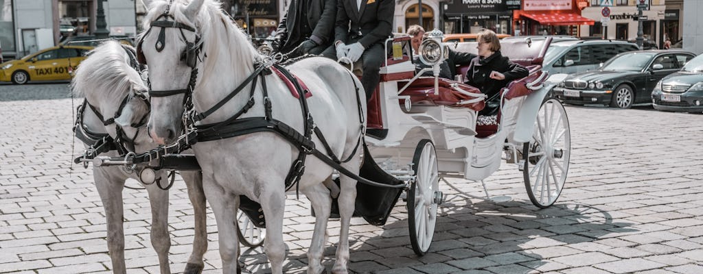 Segreti del Fiaker viennese e giro in carrozza