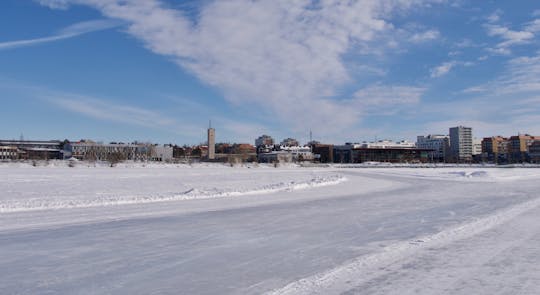 Guided kicksledding experience