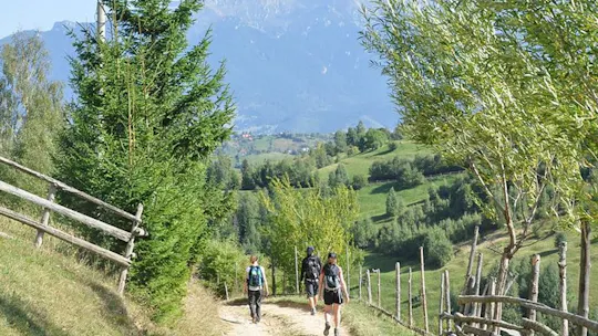 Piatra Craiului National Park private hiking tour from Brasov
