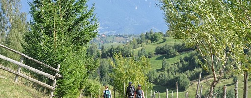 Prywatna wycieczka piesza do Parku Narodowego Piatra Craiului z Braszowa