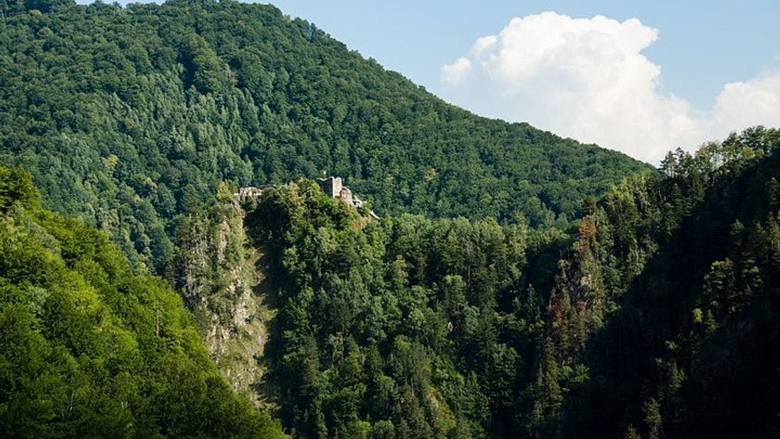 Small Group day trip on the Transfagarasan road and to Poienari Fortress from
