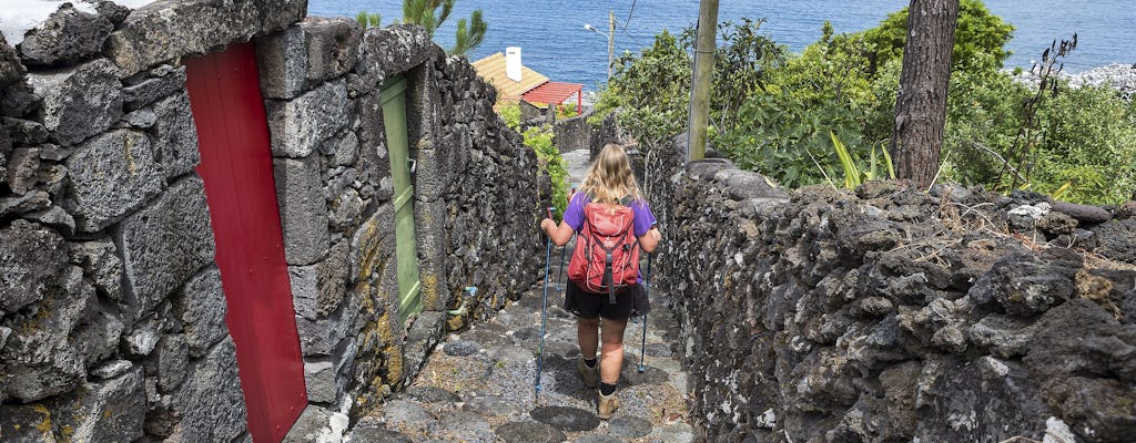 Tour de senderismo al Caminho dos Burros desde la isla de Pico