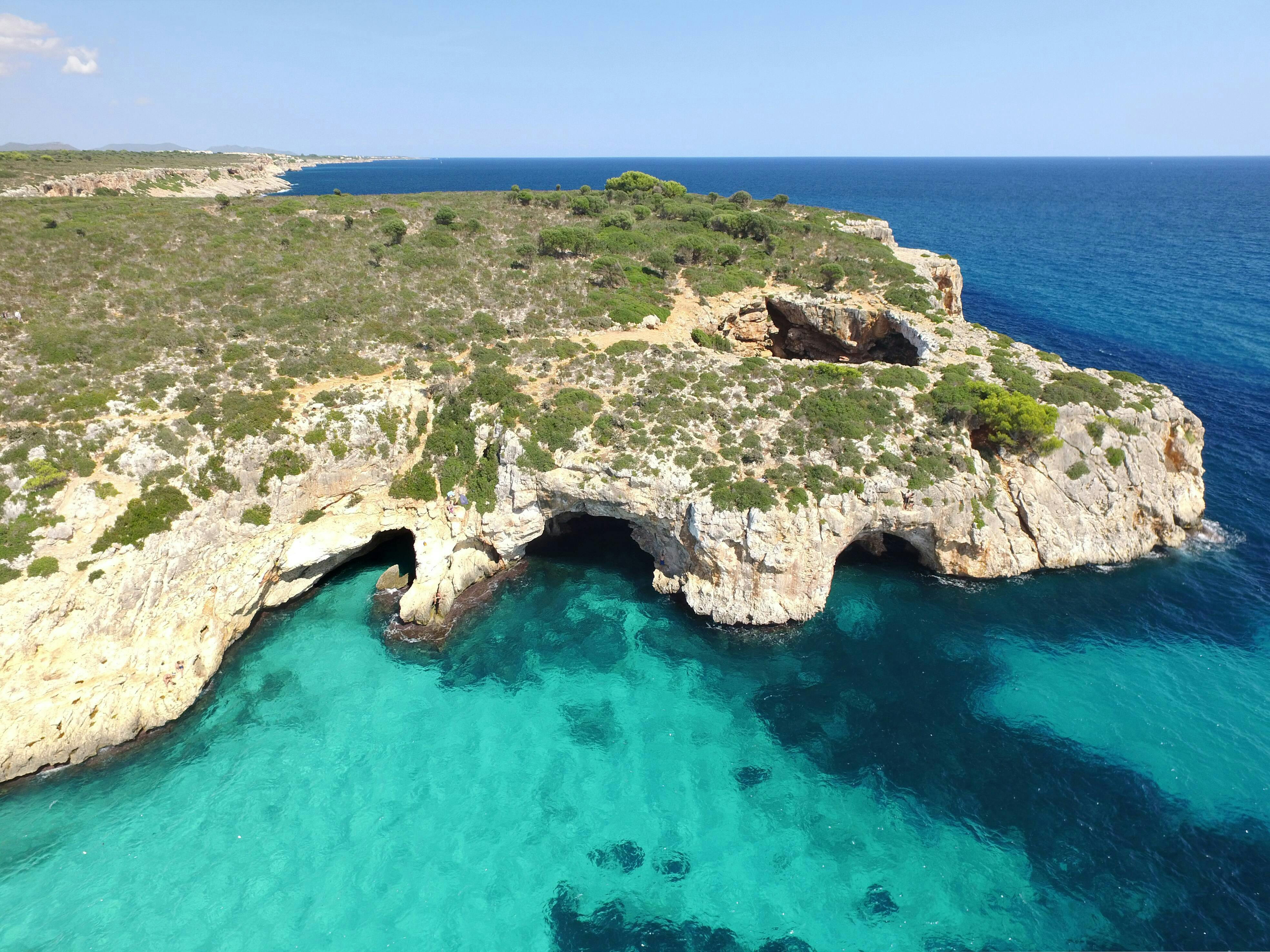 Moonfish Paradise Glasbodemboot Tochten