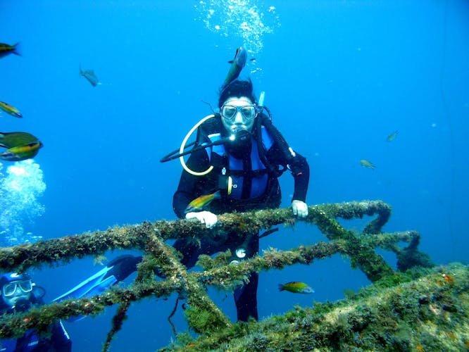 Open Water Course with Native Diving