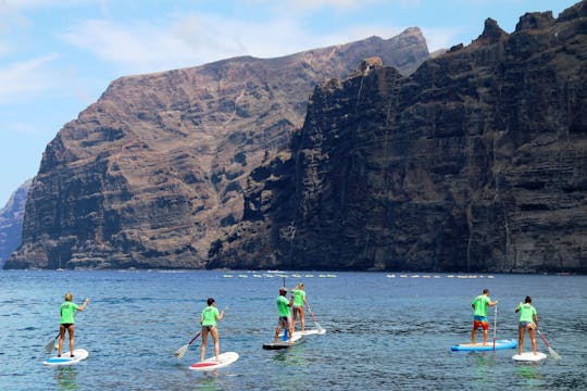 Cours de stand up paddle à Tenerife