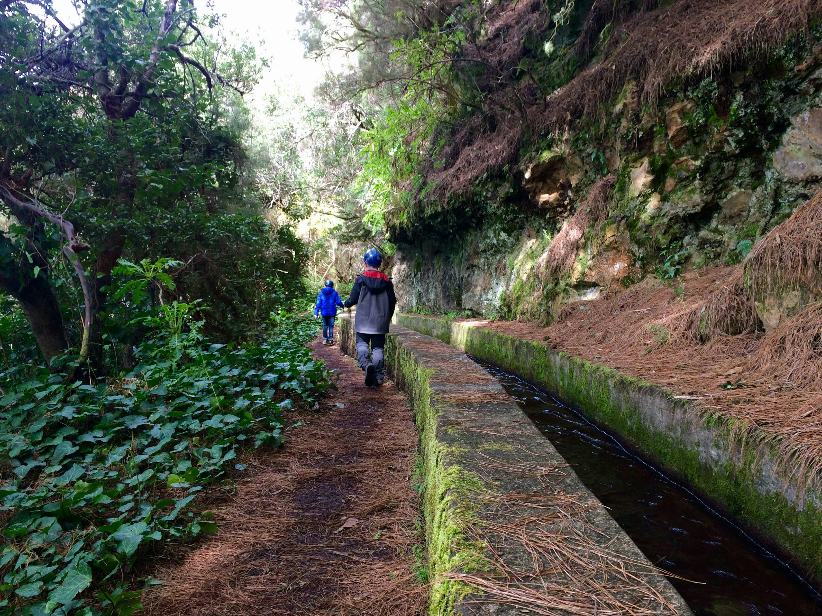 Bronnen van La Palma Wandeling