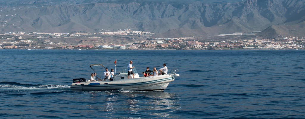 Croisière écologique avec observation des dauphins à Tenerife