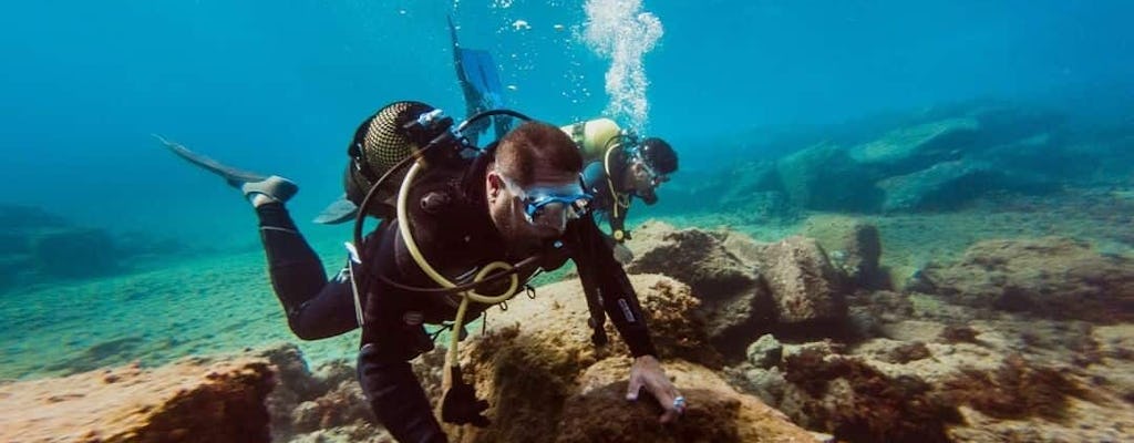 Expérience de plongée sous-marine adaptée à Tenerife