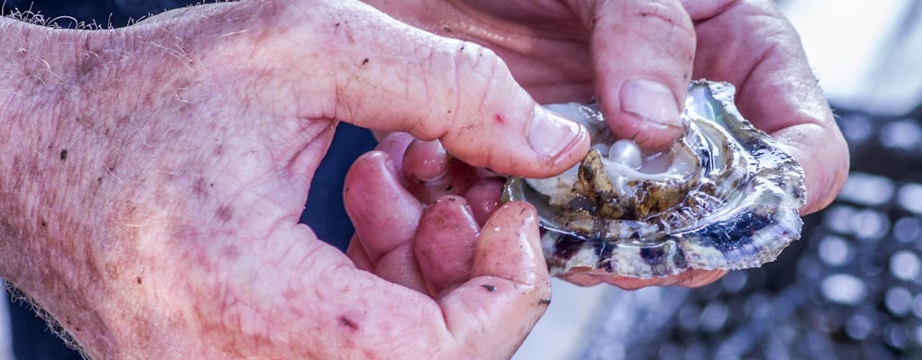 Broken Bay Pearl Farm Tour in Hawkesbury