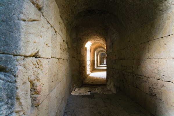 Tour rapido del Colosseo sotterraneo