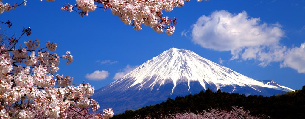 Experiencia en línea: descubra el monte. Fuji