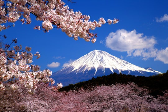 Online experience: Discover Mt. Fuji