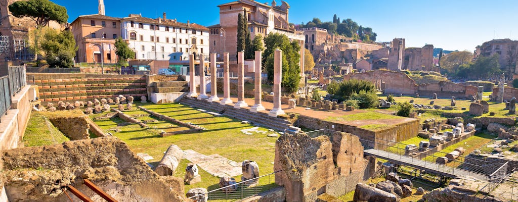 Ancient Rome Tour: Roman Forum, Palatine Hill and Circus Maximus