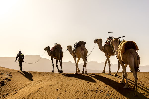 Safari en camello por el desierto en Agafay