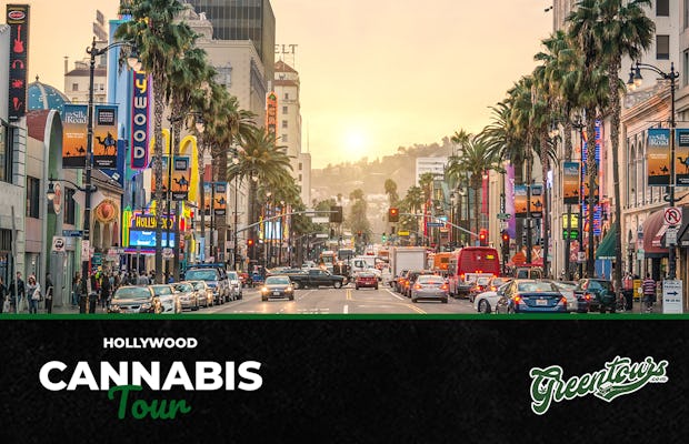 Hollywood Cannabis Tour