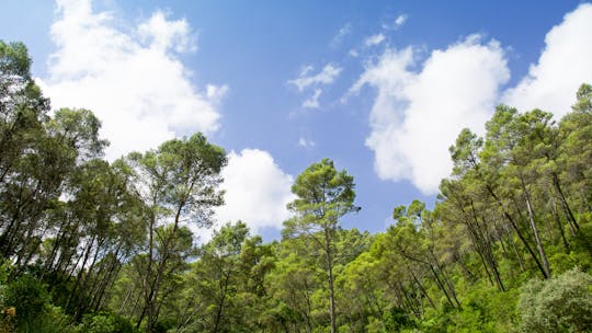 Ruta senderista por los montes de Málaga