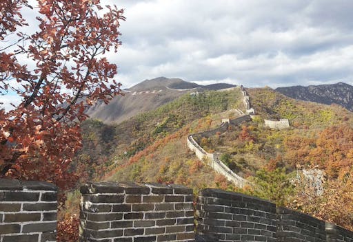 202011265fbf50555d573.jpg