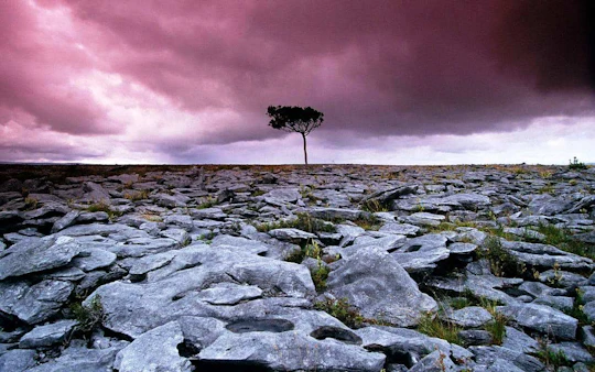 Cliffs of Moher and the Burren tour from Galway City