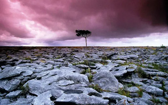 Cliffs of Moher and the Burren tour from Galway City