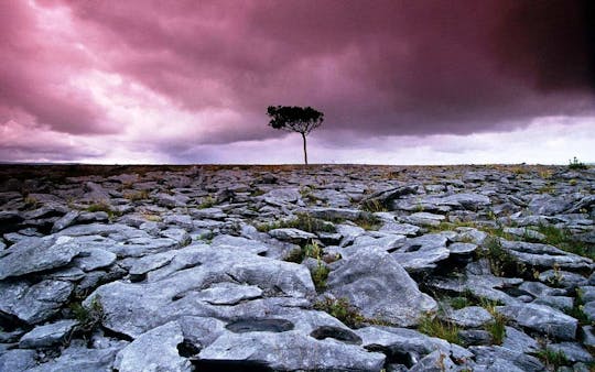 Cliffs of Moher und die Burren Tour von Galway City