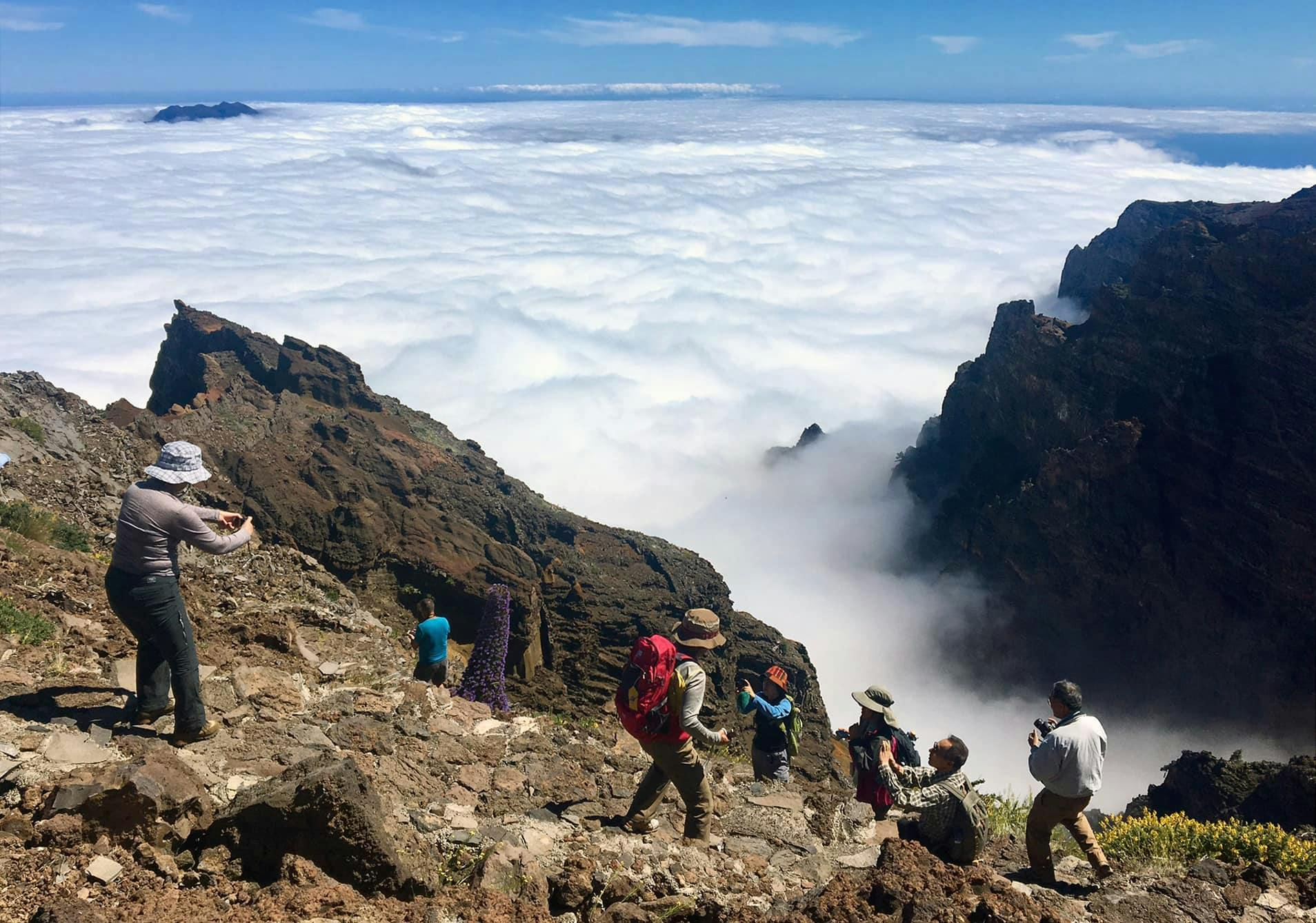 La Palma Top of the Island Hiking Tour with Transfer