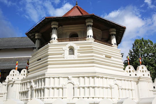 Kandy stadswandeling, tempel, markt en meertour