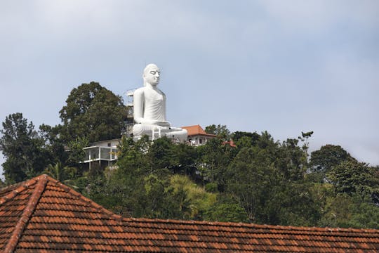 Athugala Elephant Rock and Yapahuwa Rock Fortress tour from Kandy