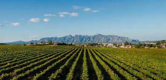 Visite privée de Montserrat et Penedès au départ de Barcelone