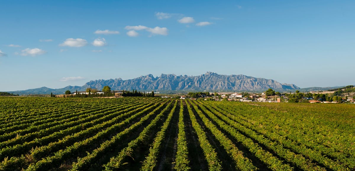 Montserrat en Penedès privétour vanuit Barcelona