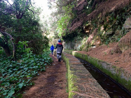 La Palma Springs Hike with Transfer