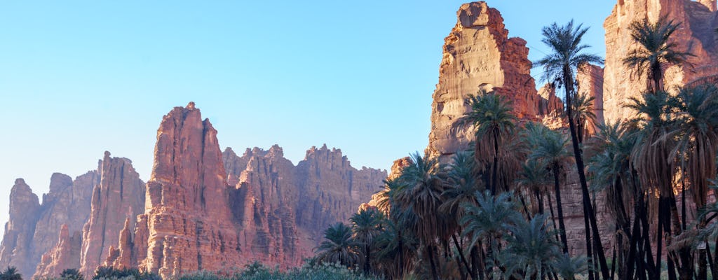 Tour di un'intera giornata nella valle di Wadi Al Disah da Tabuk