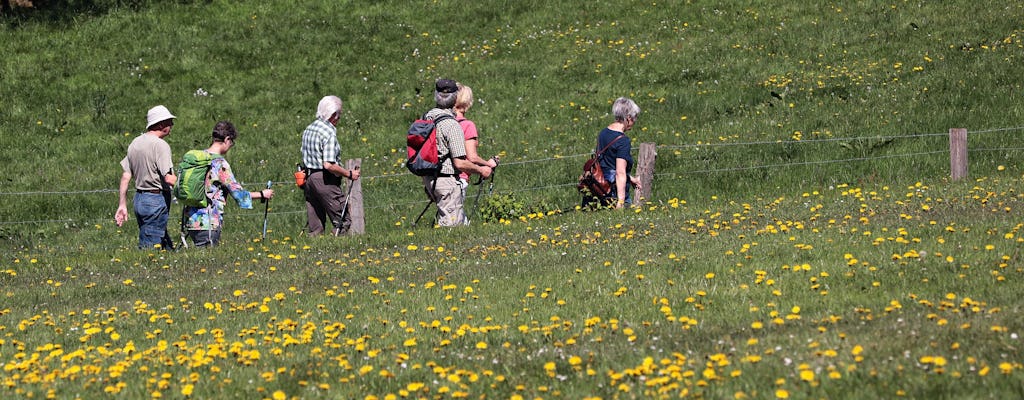 Randonnée dans le parc national de Parnitha au départ d'Athènes