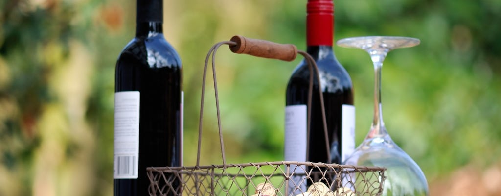 Experiencia privada de cata de vinos de etiquetas griegas galardonadas.