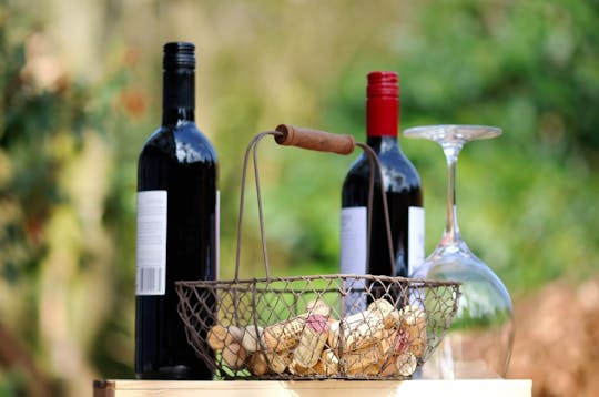 Privé wijnproeverij van bekroonde Griekse labels