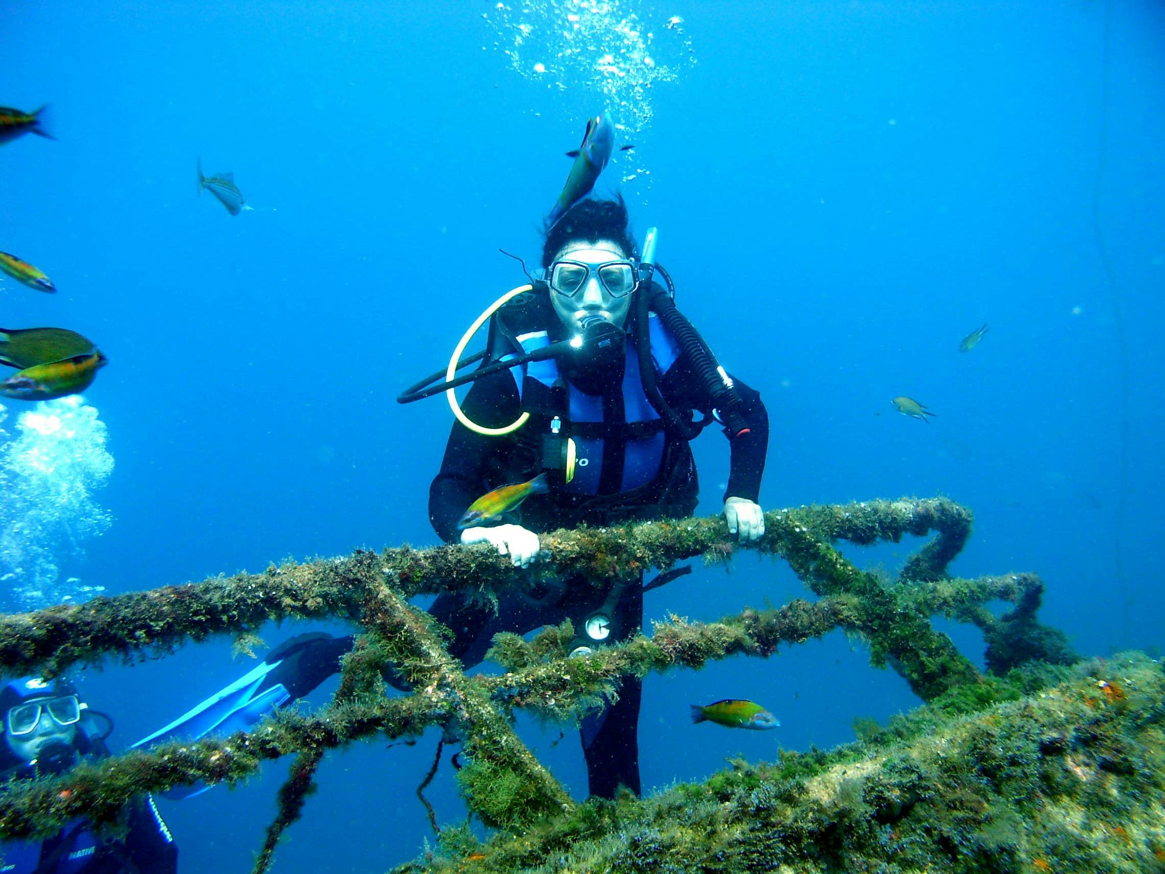 Open Water Course with Native Diving