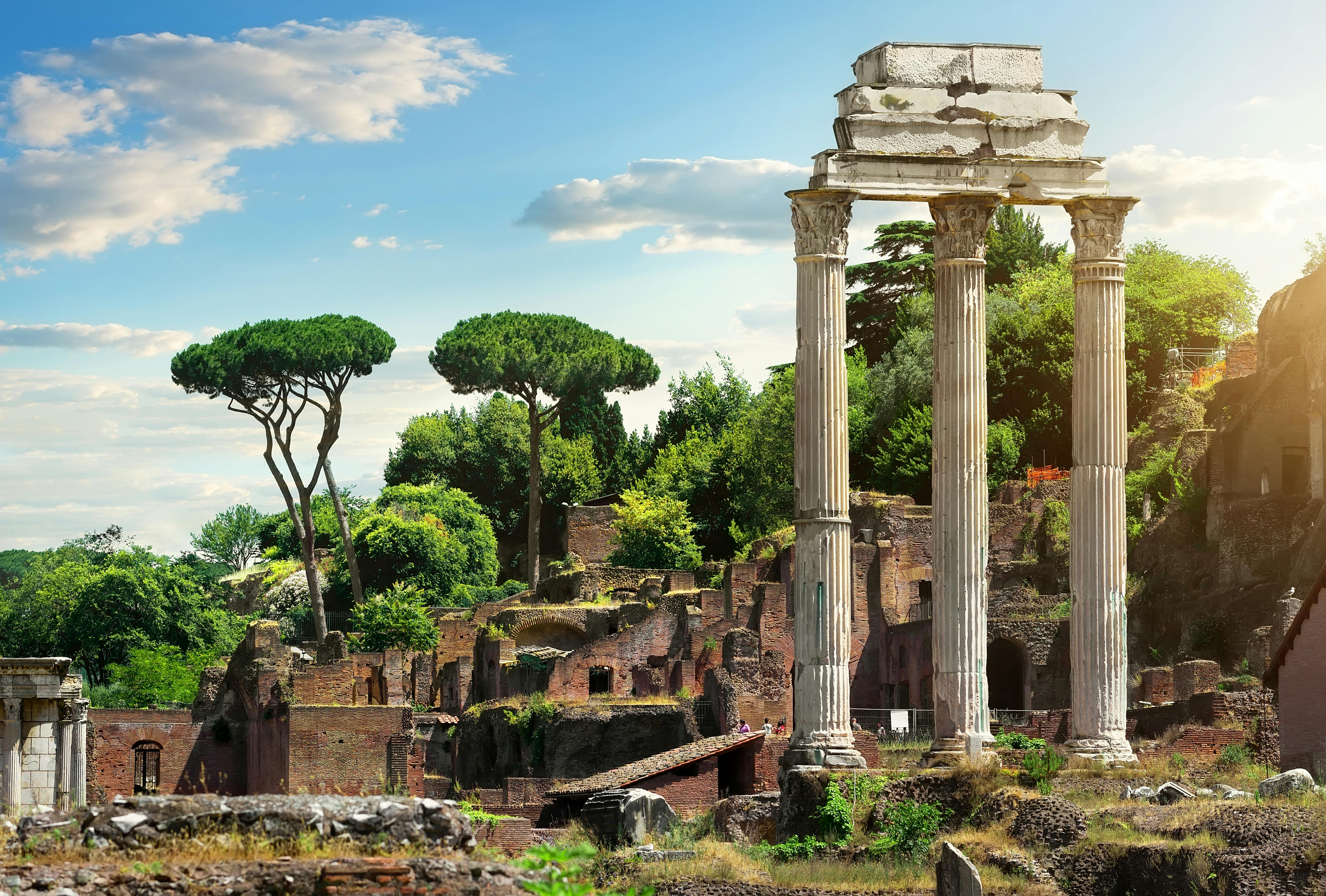 Kleingruppenführung Kolosseum, Forum Romanum und Palatin